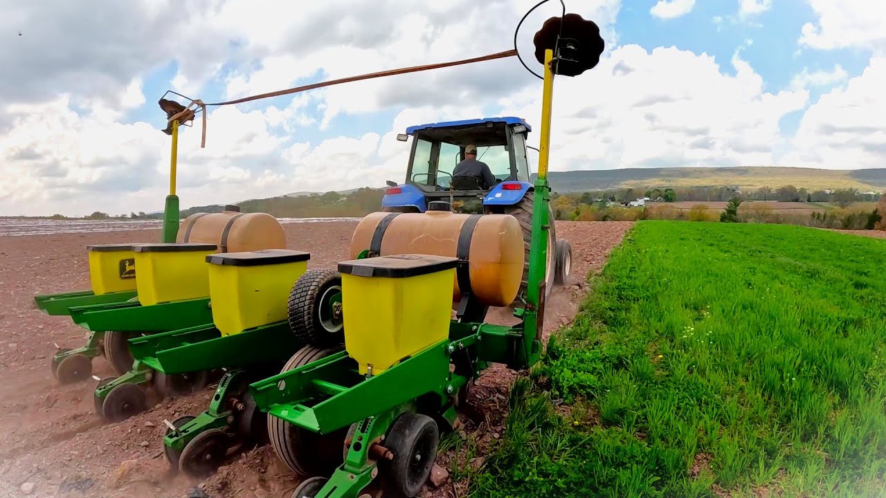 SEEDING OUR MOST POPULAR VEGETABLE